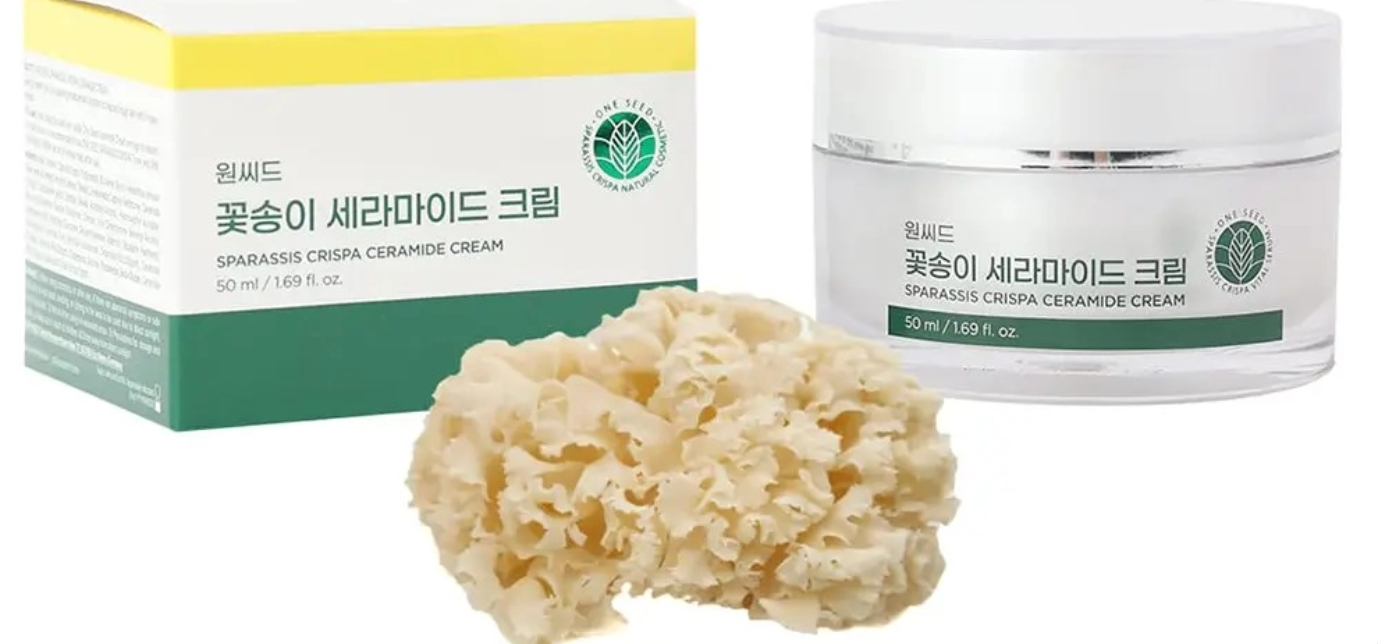 one-seed-sparassis-crispa-ceramide-cream-50ml – Wirkstoff-Serum für Hautpflege, Anti-Aging & Regeneration